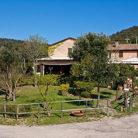 Agriturismo Torre Burchio Bettona Exteriér fotografie