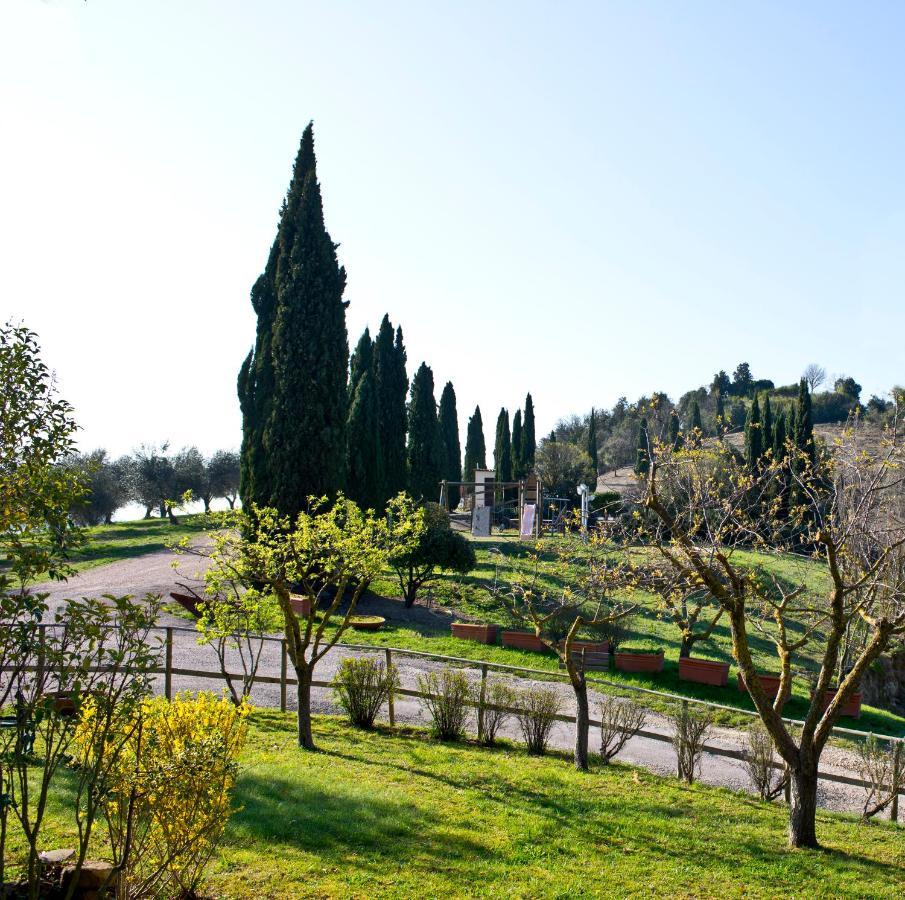 Agriturismo Torre Burchio Bettona Exteriér fotografie